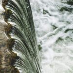 ¿Cómo está el Cutzamala tras las lluvias de 2025