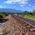 ¿NUEVOS TRENES EN MÉXICO? ¿CÓMO VAN?